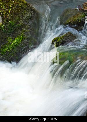 Europa, Germania, Assia, Westerwald, Lahn-Dill-Bergland, Geopark Westerwald-Lahn-Taunus, Lahn-Dill-Kreis, Westerwaldsteig, Breitscheid, riserva naturale Gasseschlucht, rapide al torrente Erdbach Foto Stock