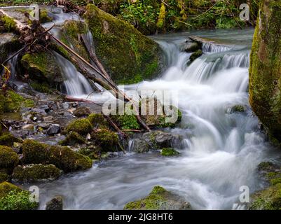 Europa, Germania, Assia, Westerwald, Lahn-Dill-Bergland, Geopark Westerwald-Lahn-Taunus, Lahn-Dill-Kreis, Westerwaldsteig, Breitscheid, riserva naturale Gasseschlucht, rapide al torrente Erdbach Foto Stock