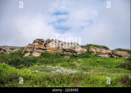 Viste al sito del Buffalo Jump, sito patrimonio dell'umanità dell'Head-Smashed, vicino a Fort Macleod Alberta. Foto Stock