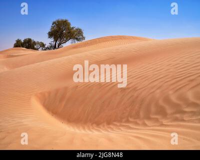 Sulla strada tra le dune del Rub-al-Khali, Oman. Foto Stock