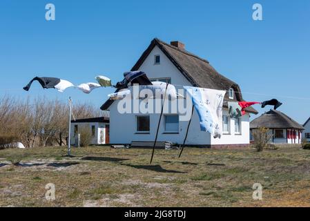 Lavanderia che soffia nel vento, casa di paglia, Neuendorf, isola di Hiddensee, Meclemburgo-Pomerania occidentale, Germania Foto Stock