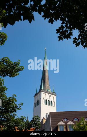 Tallinn, Estonia. Luglio 2022. Il campanile della chiesa di San Olav nel centro della città Foto Stock