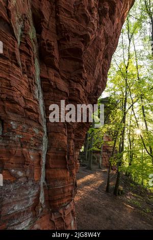 Atmosfera mattutina presso le rocce del vecchio castello, formazione rocciosa di arenaria rossa nei pressi di Eppenbrunn, faggeta nel verde primaverile, Parco Naturale di Pfälzerwald, Riserva della Biosfera di Pfälzerwald-Nordvogesen, Germania, Renania-Palatinato Foto Stock