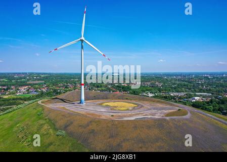 Turbina eolica a Mottbruchhalde, Gladbeck, Ruhr, Renania settentrionale-Vestfalia, Germania, Europa Foto Stock