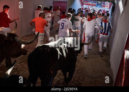 Pamplona, Spagna. 8th luglio 2022. I tori hanno visto entrare nell'arena seguendo i 'mozos' durante la seconda corsa dei tori al ranch Fuente Ymbro parte delle feste di San FermÃ-n 2022. (Credit Image: © Elsa A Bravo/SOPA Images via ZUMA Press Wire) Foto Stock