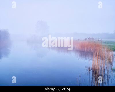 Nebbia mattutina nella riserva naturale Mertinger Hölle. Foto Stock