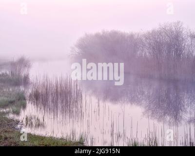 Nebbia mattutina nella riserva naturale Mertinger Hölle. Foto Stock