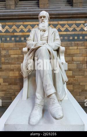 Inghilterra, Londra, South Kensington, Museo di Storia Naturale, Statua di Charles Darwin Foto Stock