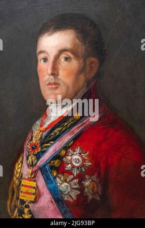 Dipinto intitolato 'il Duca di Wellington' di Francisco de Goya datato 1812 Foto Stock