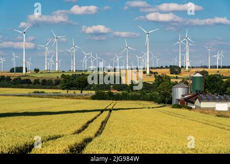 Wind farm vicino alla città della Westfalia orientale di Energiestadt Lichtenau, azienda agricola con impianto fotovoltaico, oltre 80 turbine eoliche su questa collina Foto Stock