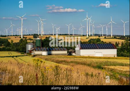 Wind farm vicino alla città della Westfalia orientale di Energiestadt Lichtenau, azienda agricola con impianto fotovoltaico, oltre 80 turbine eoliche su questa collina Foto Stock