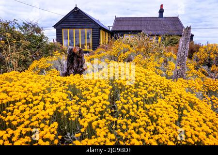 Derek Jarman's Prospect Cottage Dungeness Kent UK Foto Stock