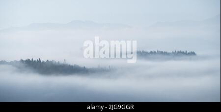 Paesaggio autunnale con parti di foresta e montagna che si attacca dalla fitta nebbia, Slovacchia, Europa Foto Stock