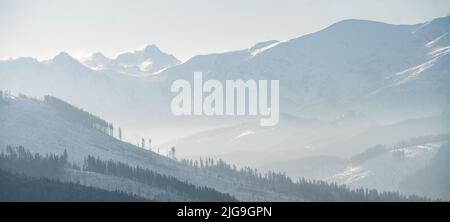 Paesaggio innevato con montagne sullo sfondo e foresta in primo piano, Slovacchia, Europa Foto Stock