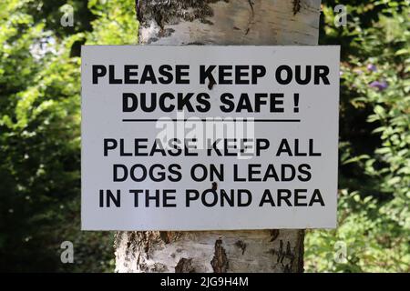 Segno vicino al laghetto di anatra in East Quantoxhead in Somerset chiedendo che i cani sono tenuti su un piombo nella zona dello stagno al fine di prevenire la carneficina ducky. Foto Stock