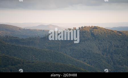 Vasto bosco che si estende fino all'orizzonte e colline che catturano gli ultimi raggi del sole durante il giorno d'autunno Foto Stock