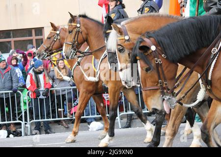 Unità di polizia equestre alla Macy's Thanksgiving Day Parade, New York, USA Foto Stock