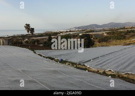 Serra di plastica bianca con struttura a vista sul mare e sulle montagne Foto Stock