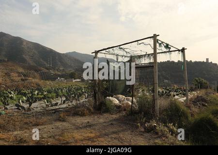 Serra di plastica bianca con struttura a vista sul mare e sulle montagne Foto Stock