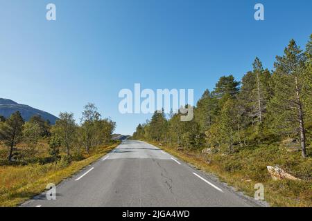 Una strada vuota circondata da alberi con cielo blu chiaro e spazio copia. Paesaggio con una strada asfaltata rettilinea campagna per viaggiare lungo un Foto Stock