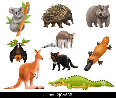Animali australiani insieme di icone isolate con immagini di roditori selvatici canguro coccodrillo e appeso ratto vettore illustrazione Illustrazione Vettoriale