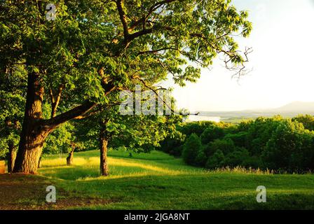 Un grande campo con vista sul fiume Hudson fa parte dell'Olana state Historic Park, un tempo residenza dell'artista e fondatore della Hudson River School Foto Stock