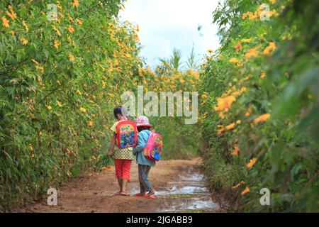 Bambini asiatici in cammino di campagna, cespuglio di girasole selvatiche in fiore giallo, scena colorata, Foto Stock