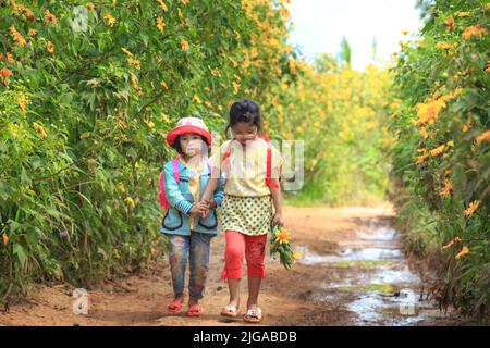 Bambini asiatici in cammino di campagna, cespuglio di girasole selvatiche in fiore giallo, scena colorata, Foto Stock