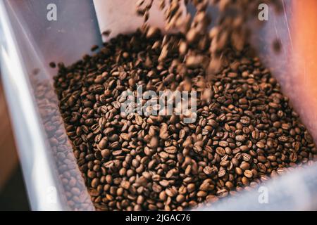 Chicchi di caffè torrefatto dalla macchina tostatrice che si versano nella scatola speciale per la vendita Foto Stock