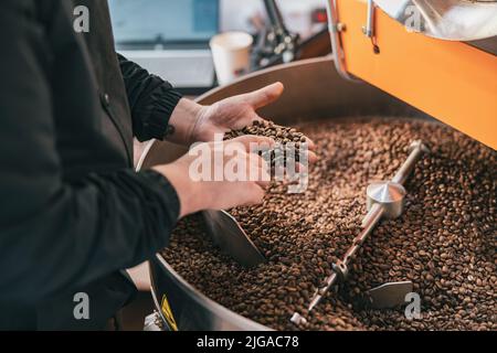 Il barista maschile controlla la qualità della tostatura dei chicchi di caffè in piccole fabbriche. Primo piano Foto Stock