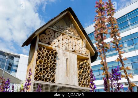Insect Hotel, Bee Hotel, Bug Hotel, Suburban Refuge House for Environmentally friendly insetti, Urban, insetti benefici Foto Stock