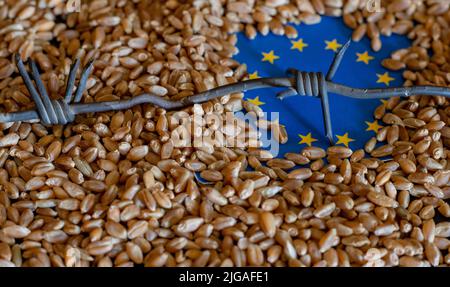 Bandiera dell'Unione europea sul grano. Concetto di coltivazione del grano nell'Unione europea, crisi del grano nell'Unione europea, concetto di crisi globale della fame a causa di w Foto Stock
