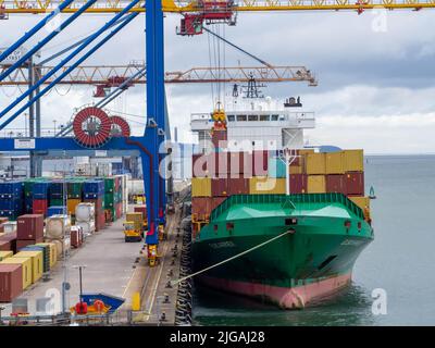 Vista frontale della nave MSC Container Ship in verde e bianco caricata con contenitori per l'esportazione Foto Stock