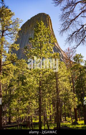 La Devils Tower, una caratteristica geologica che sporge dalla prateria delle Black Hills, è considerata sacra dagli Indiani delle pianure Settentrionali e una di queste Foto Stock