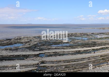 Alcune persone girovagano intorno sui marciapiedi di roccia sulla spiaggia di Kilve vicino a East Quantoxhead in Somerset, Inghilterra alla ricerca di fossili. Strati di roccia datta ba Foto Stock