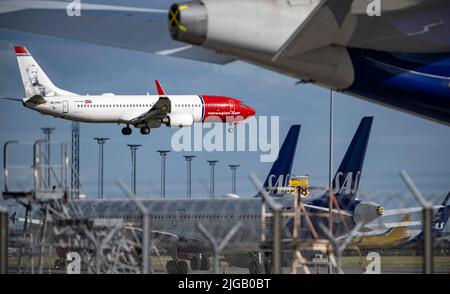 KASTRUP 2022-07-06 un velivolo norvegese Boeing 737-800 in arrivo per l'atterraggio mentre gli aerei SAS Airbus 320 Neo e A350 sono parcheggiati con sensori e motori coperti all'aeroporto di Kastrup dopo che i 900 piloti di SAS Scandinavia sono andati in sciopero. Foto: Johan Nilsson / TT / Codice 50090 Foto Stock