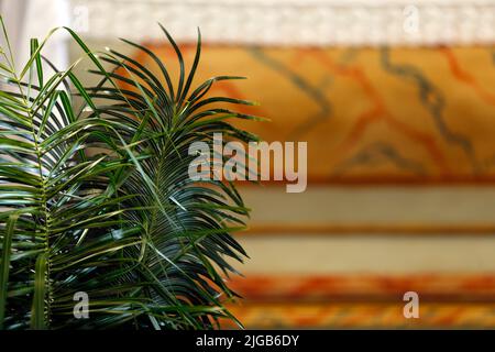 Settimana Santa. Dettaglio ramo. Celebrazione cattolica tradizionale Domenica delle Palme. Fede cristiana. Simbolo religioso. Foto Stock