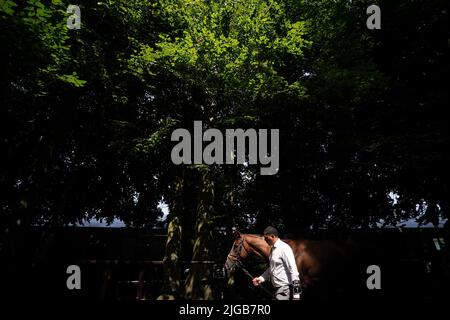 I cavalli vengono condotti davanti al handicap di bet365 miglia nel Darley July Cup Day of the Moet e Chandon July Festival presso l'ippodromo di Newmarket, Suffolk. Data foto: Sabato 9 luglio 2022. Foto Stock