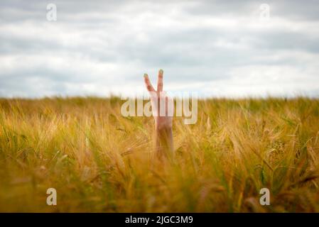 Mano con due dita in alto in aria o segno, simbolo di pace o vittoria su sfondo campo. Foto Stock