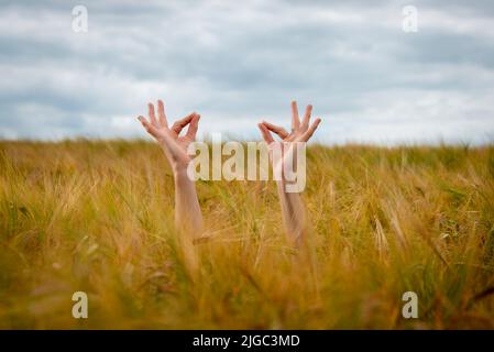 Yogi mani esercizio yoga in un campo Foto Stock