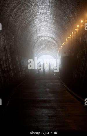 Niagara Parks Power Station. Il Tunnel è una nuova attrazione turistica presso la stazione elettrica di Niagara Parks a Niagara Falls, Ontario, Canada Foto Stock