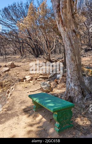 Panca verde in un parco. Foto di una panca pubblica nel bosco. Un posto d'epoca in una foresta arida e asciutta in una calda giornata estiva. Prendetevi del tempo per riposare e un Foto Stock