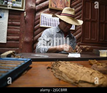 L'uomo locale sta arrotolando sigari cubani di alta qualità nella sua fabbrica di tabacco tradizionale di 3rd generazione a Viñales, Pinar del Rio Cuba. Foto Stock