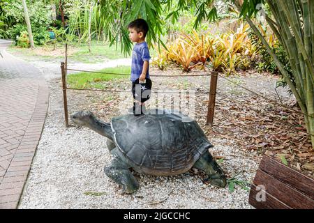 Bonita Springs Florida, Everglades Wonder Gardens, giardino botanico rifugio feriti fauna mostra attrazione turistica, tartaruga gigante scultura statua Foto Stock