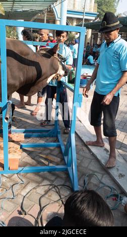 Ritratto delle persone che preparano gli strumenti sacrificali di macellazione degli animali durante Eid al-Adha Foto Stock