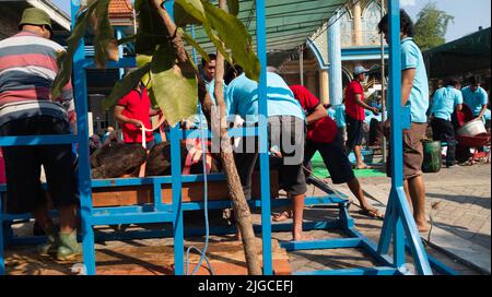 Ritratto delle persone che preparano gli strumenti sacrificali di macellazione degli animali durante Eid al-Adha Foto Stock