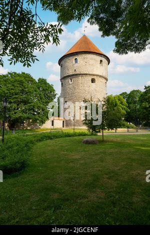 Tallinn, Estonia. Luglio 2022. Vista panoramica del Museo Kiek in de Kök e dei Tunnel Bastion nel centro della città Foto Stock