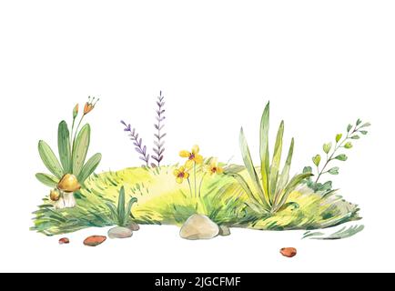 Illustrazione del prato acquerello. Natura paesaggio estivo prato con erba verde, piante e fiori, pietre e funghi Foto Stock