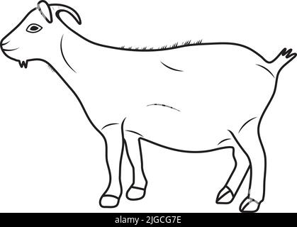 Illustrazione vettoriale di capra di montagna o disegno piatto dello stambecco per fotoricettore e stampa e app Illustrazione Vettoriale