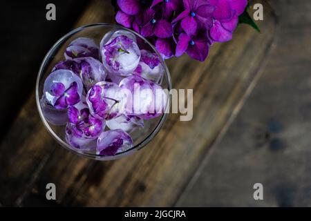 Bicchiere con fiori viola di ortangea cubetti di ghiaccio come rinfrescante bevanda estiva concetto Foto Stock